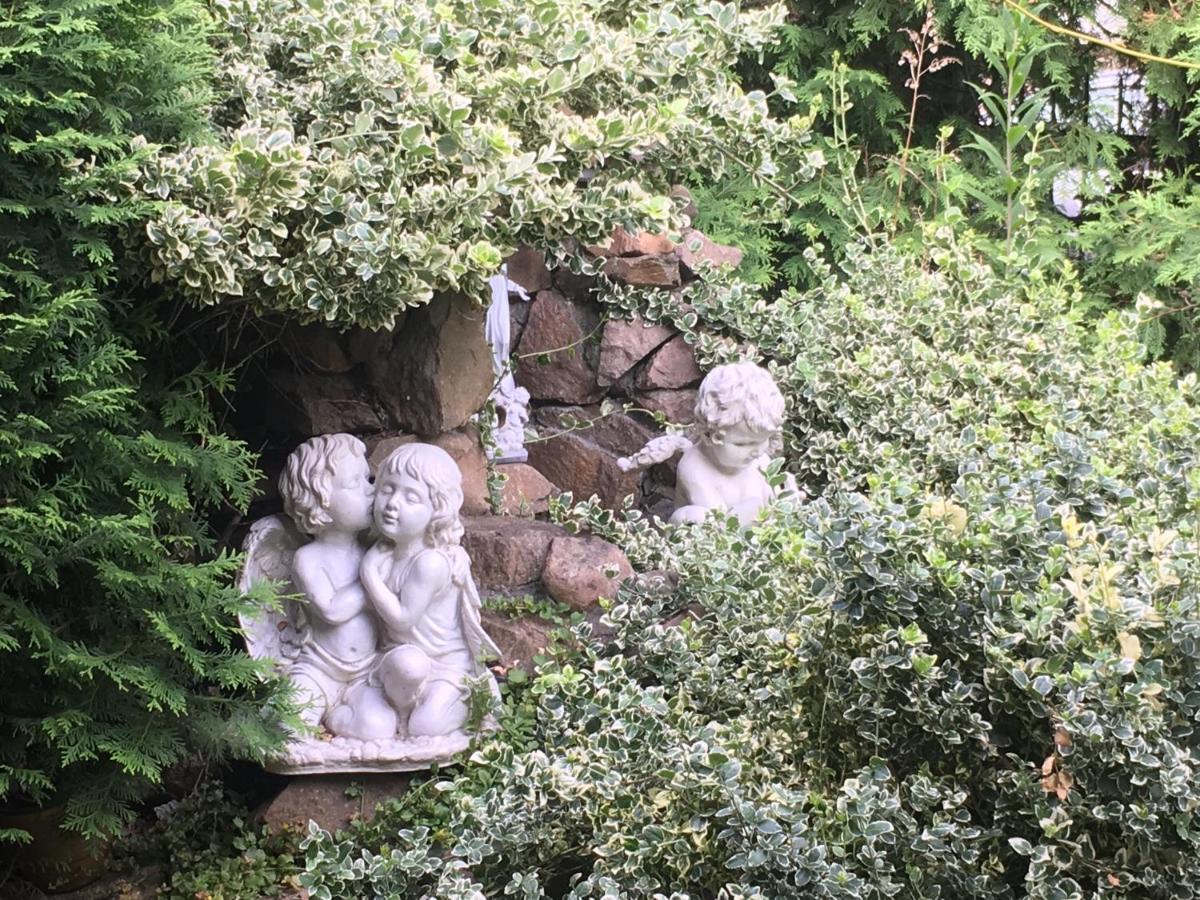 Cracow. Villa Cherubin Garden Cracovie Extérieur photo